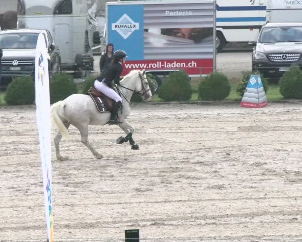 Reitturnier Basel Schänzli 2021