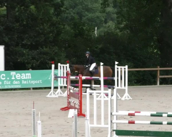 Reitturnier Alvern 2023