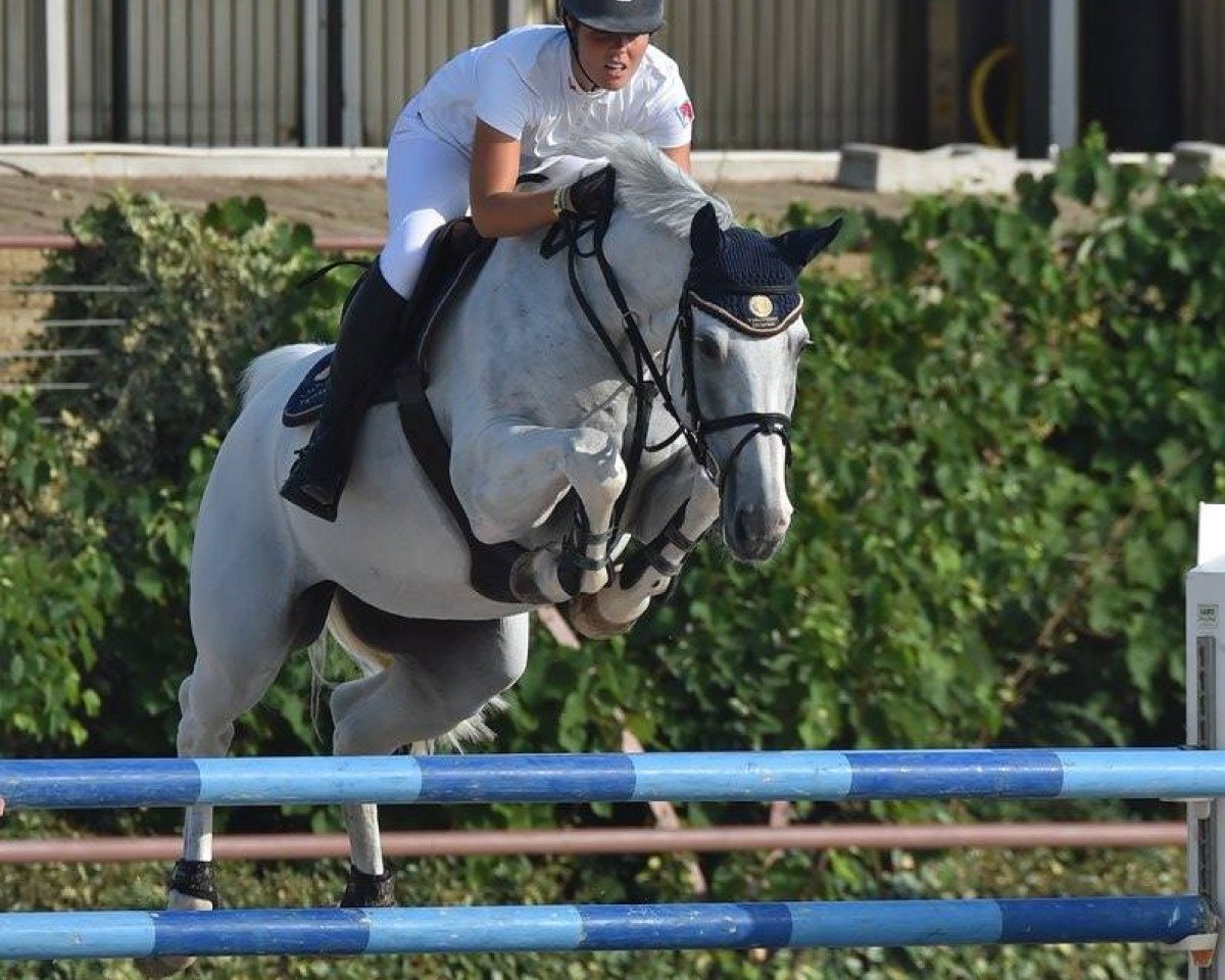 broodmare Riviera Sitte (Belgium Sporthorse, 2001, from Parco)