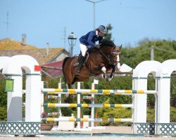 jumper Fabio XII (KWPN (Royal Dutch Sporthorse), 2010, from Numero Uno)