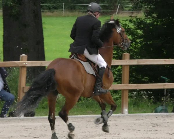 Reitturnier Alvern 2023