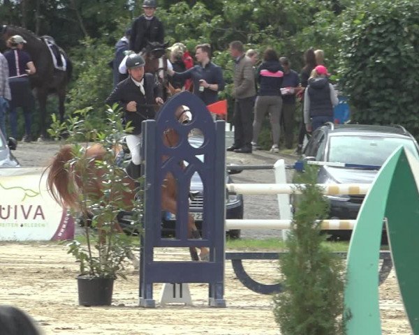 Reitturnier Niederzeuzheim 2023