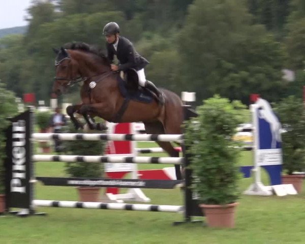 Reitturnier Bad Kissingen 2023