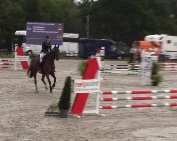 Reitturnier Nettetal-Lobberich 2023
