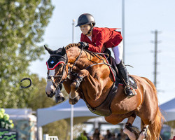 jumper Jakilly (KWPN (Royal Dutch Sporthorse), 2014, from VDL Harley)