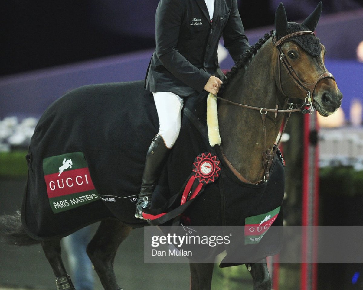 stallion Qantar des Etisses (Selle Français, 2004, from Quick Star)