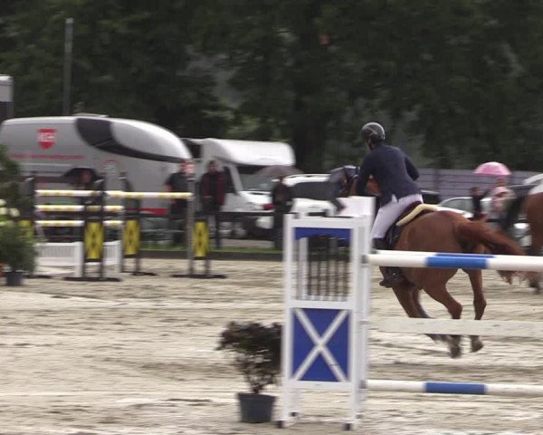 Reitturnier Nettetal-Lobberich 2023
