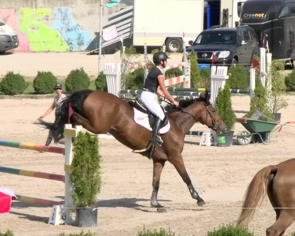 Reitturnier Basel Schänzli 2021