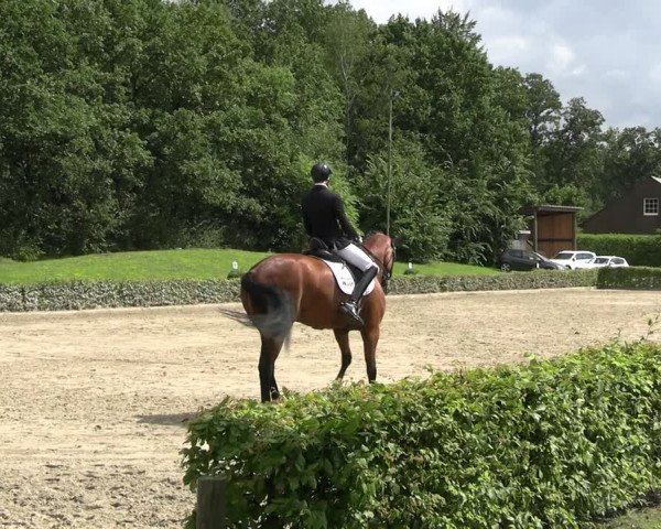 Reitturnier Olfen-Vinnum 2023