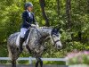 dressage horse Lilleso's Franko (Danish Warmblood, 2015, from Franziskus FRH)