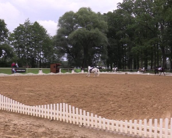 Reitturnier Zobbenitz 2023