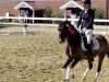 dressage horse Dancing Diamond 30 (German Riding Pony, 2011, from Reitland's Diamond Hit)