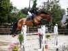 jumper van Helsing I (German Sport Horse, 2016, from Viva Vulkano)