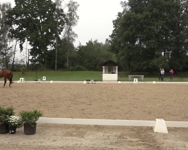 Reitturnier Niederzeuzheim 2023