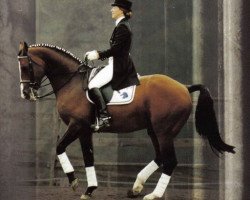 stallion Grand Slam (Oldenburg, 1982, from Grandios)