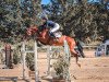 jumper Colesta 5 (Oldenburg show jumper, 2015, from Colestus)