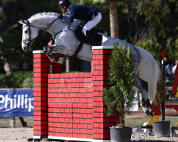 Springpferd Goliath (Schwedisches Warmblut, 2011, von Tornesch)