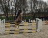 jumper Killy Faye (German Riding Pony, 2002)