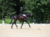 broodmare Miss Morning (German Sport Horse, 2017, from Quitoll)