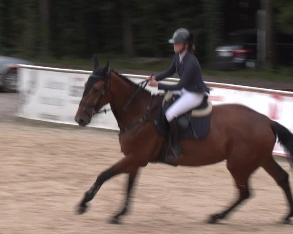 Reitturnier Ranshofen - Braunau am Inn 2023