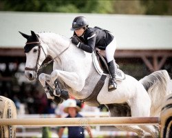 Springpferd Nirvana van T Akkerhof (Belgisches Warmblut, 2013, von Quickfeuer van Koekshof)