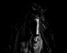 dressage horse Dembey (Hanoverian, 2015, from Dimaggio)
