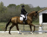 dressage horse Dembey (Hanoverian, 2015, from Dimaggio)