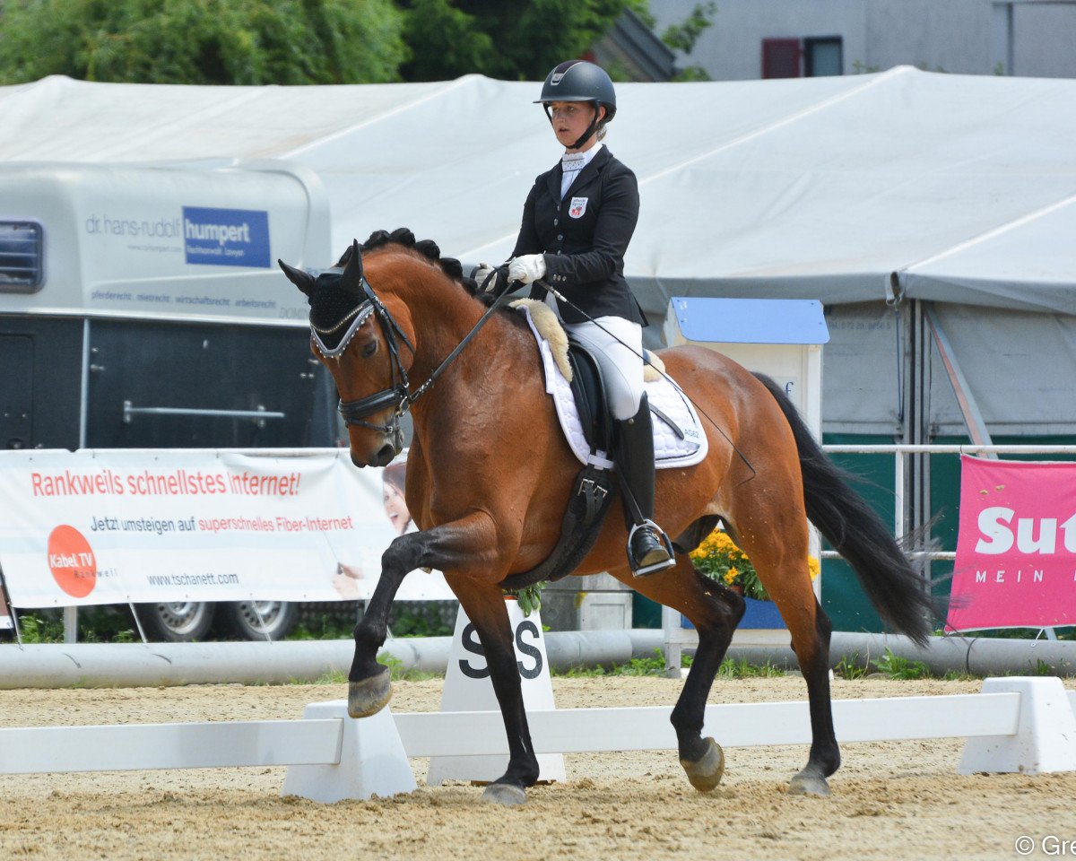 dressage horse Sir Quattro (Austrian Warmblood, 2009, from Sir Shutterfly)