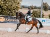 dressage horse Fischer's Fritzi (Hanoverian, 2017, from Franz Ferdinand)