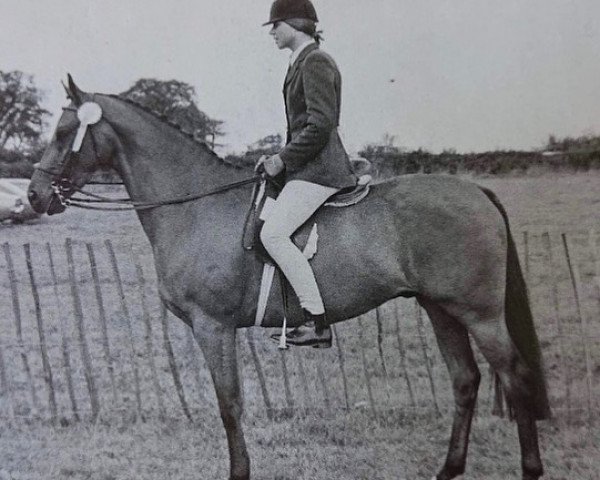 horse Autumn Gem of Cotgrave (British Riding Pony, 1971, from Gems Signet)