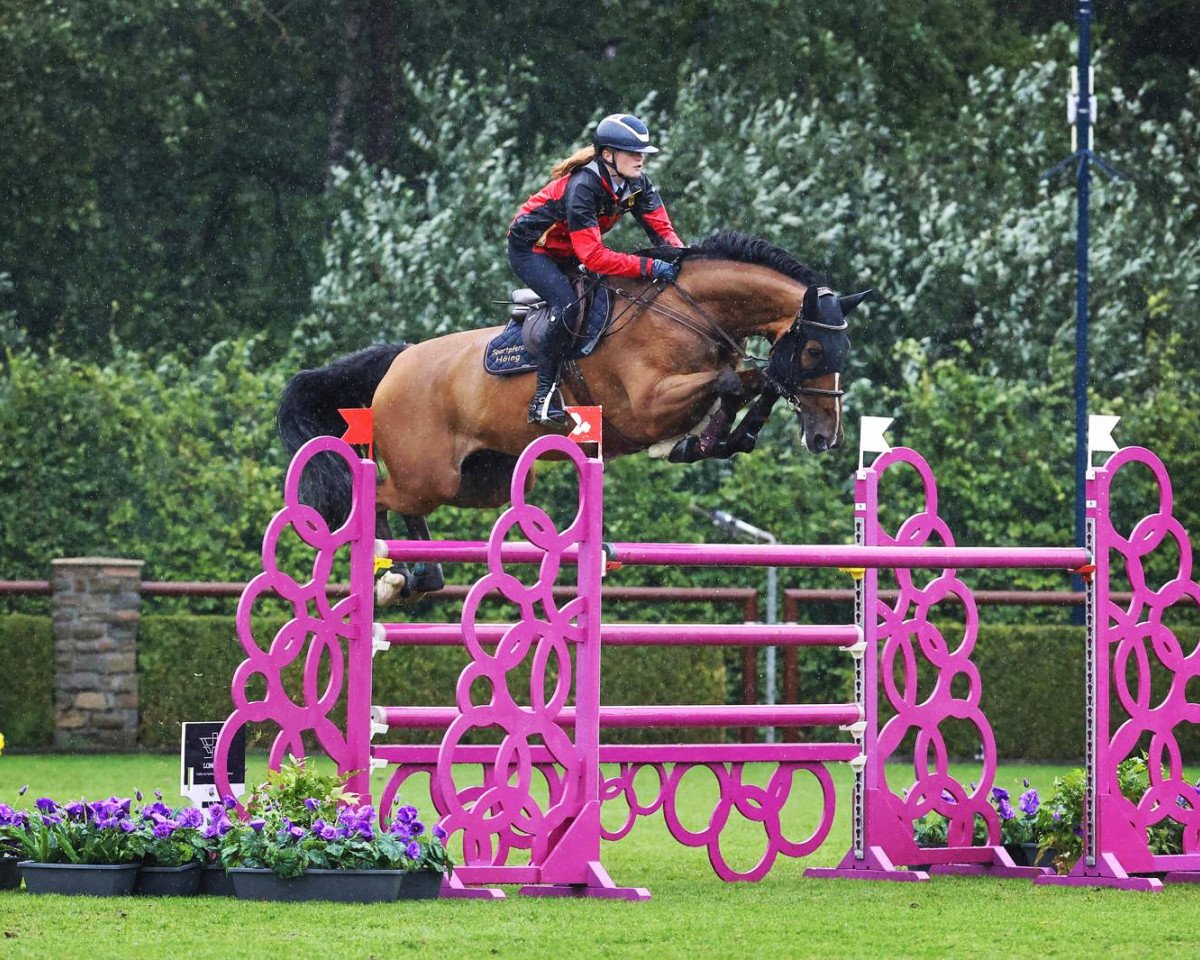 Springpferd Caboom 3 (Deutsches Sportpferd, 2012, von Cartusch 21)