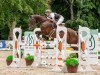 jumper Ghostbuster 61 (German Sport Horse, 2017, from Glasgow van het Merelsnest)