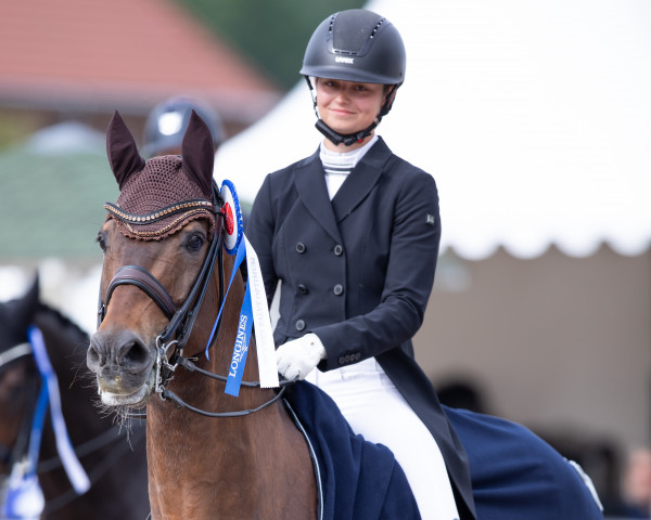 dressage horse Cajou 8 (German Sport Horse, 2008, from Caletto III)