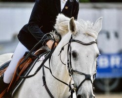 Springpferd Iletta (Belgisches Warmblut, 2008, von Corland)