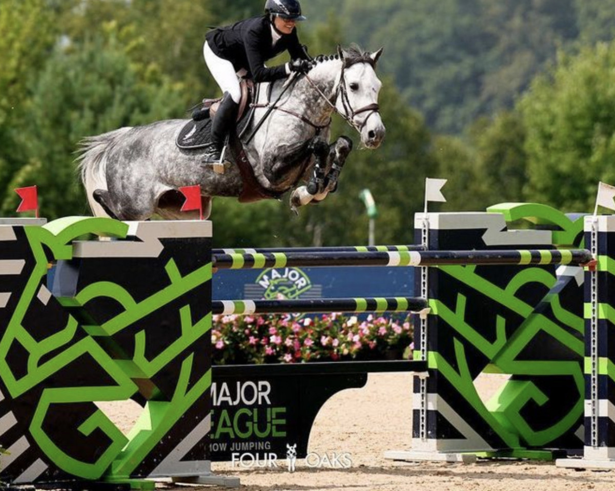 jumper Ginger Ask (Holsteiner, 2014, from Casall Ask)