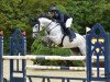 jumper Grey Leo HGH (Hanoverian, 2017, from Grey Top)