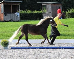 horse Best Time v. Clus (German Classic Pony, 2015, from KC Coyne Connection)