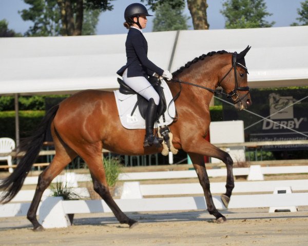 broodmare Hirtenherz (Trakehner, 2019, from Saint Cyr)