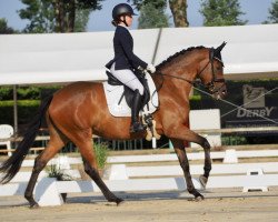 broodmare Hirtenherz (Trakehner, 2019, from Saint Cyr)