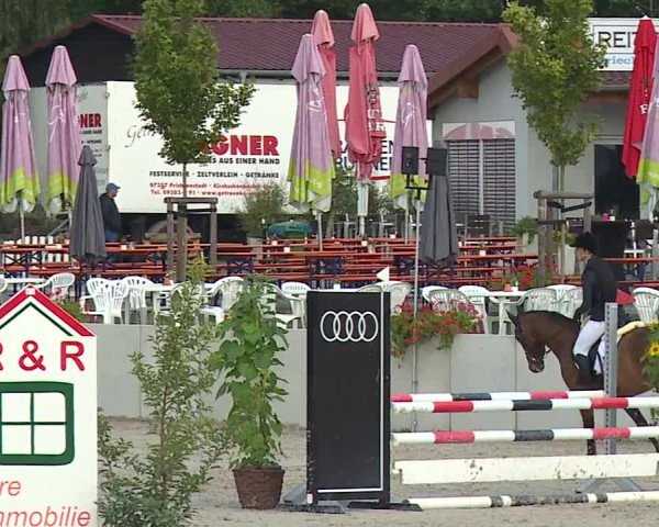 Reitturnier Grafenrheinfeld 2023