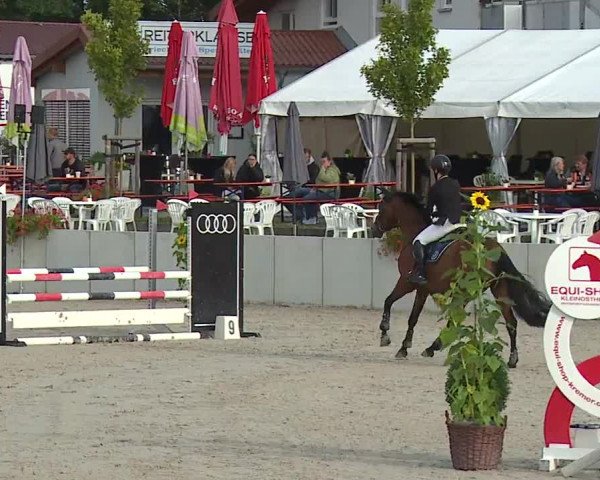 Reitturnier Grafenrheinfeld 2023