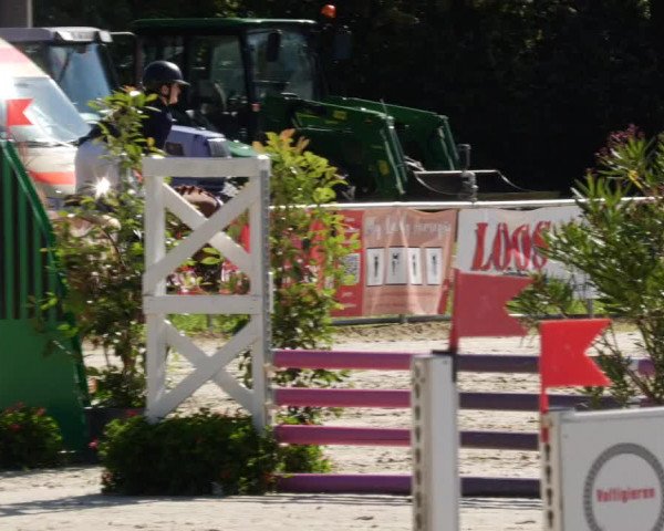 Reitturnier Oberderdingen 2023