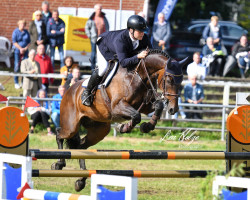 Springpferd Dapardie (KWPN (Niederländisches Warmblut), 2008, von Zelote VDL)