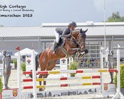 jumper High Cortego (Oldenburg show jumper, 2018, from VDL Harley)