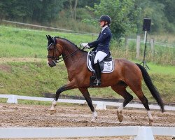 dressage horse Esposo S (Westphalian, 2016, from Escorial 159)