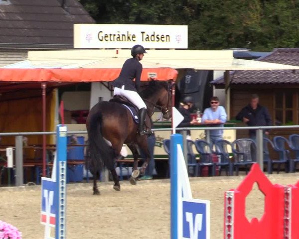 Reitturnier Behrendorf 2023