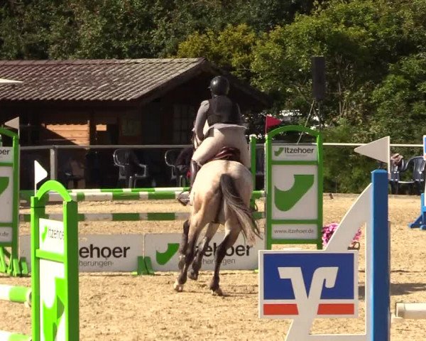Reitturnier Behrendorf 2023