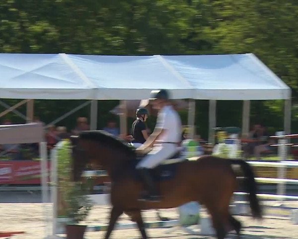 Reitturnier Grafenrheinfeld 2023
