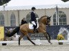 stallion Chickeria H (German Riding Pony, 2020, from Caspar H 5)