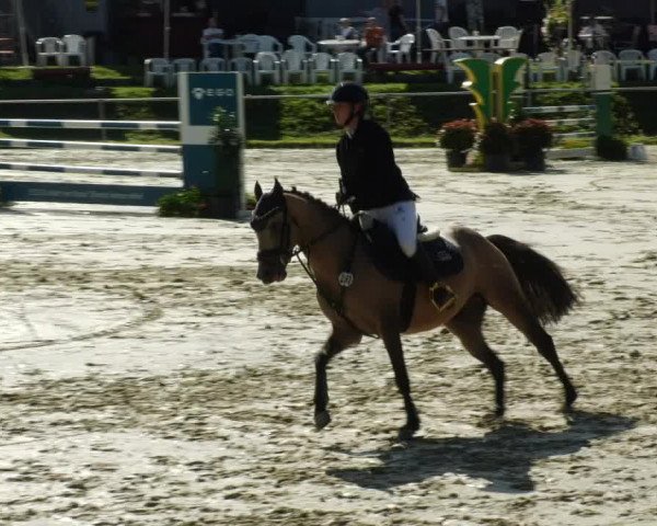 Reitturnier Oberderdingen 2023